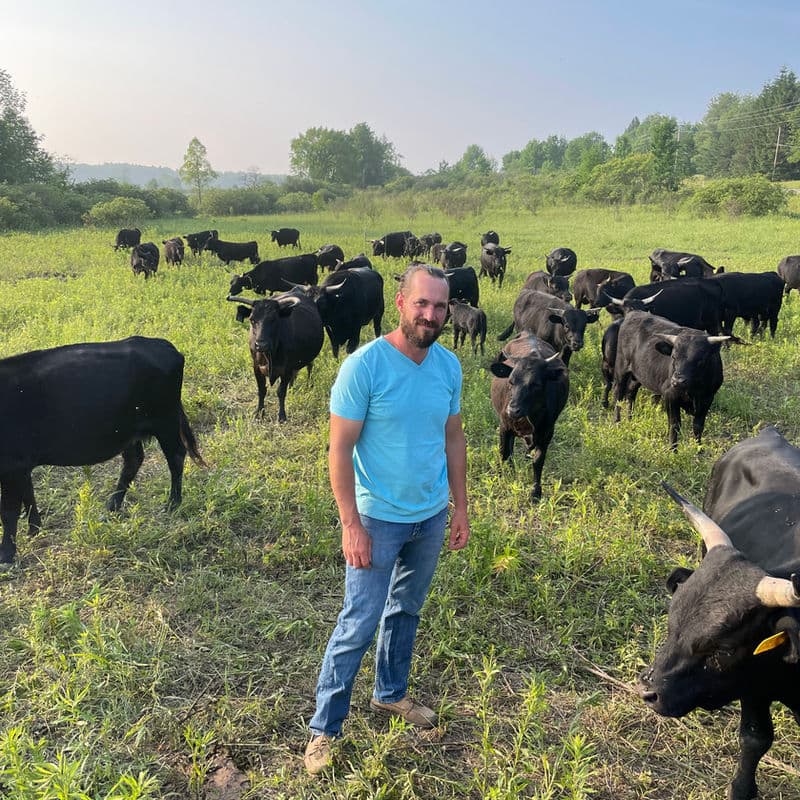 Caleb Schenk standing among his grass-fed cattle herd at Deer Run Acres