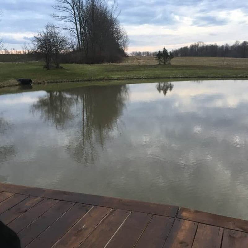 Farm pond at Deer Run Acres reflecting the sky — healthy water cycle in action